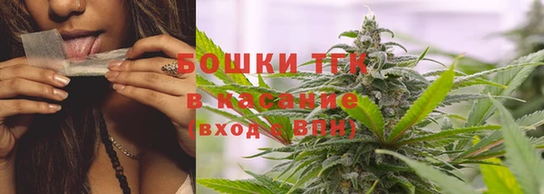 прущие грибы Алексеевка