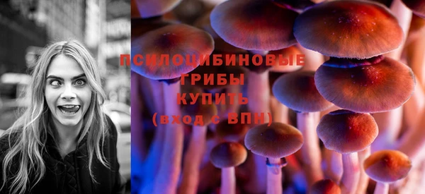 прущие грибы Алексеевка