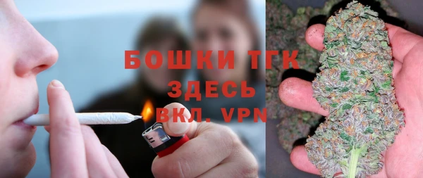 PSILOCYBIN Алзамай