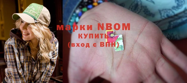 стаф Абаза