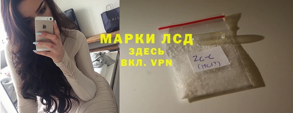 PSILOCYBIN Алзамай