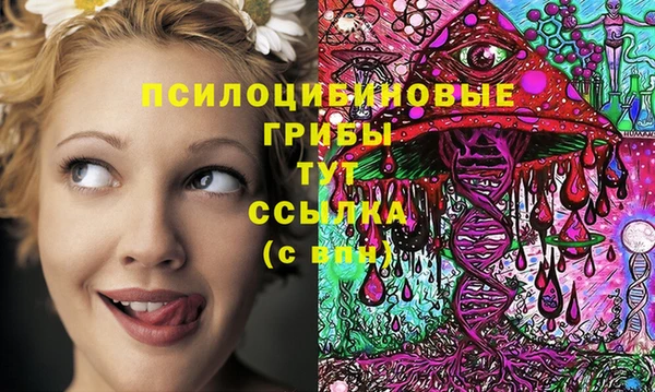 прущие грибы Алексеевка