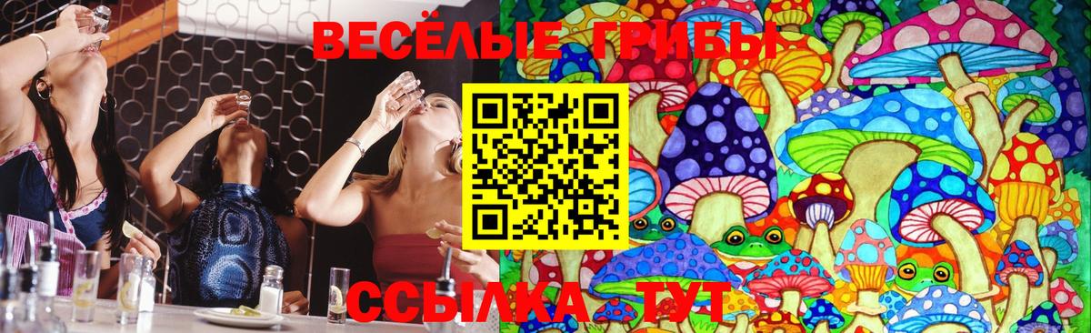 Псилоцибиновые грибы GOLDEN TEACHER  Вход с VPN  Усть-Илимск 